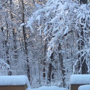 Meet your Posher, Sa